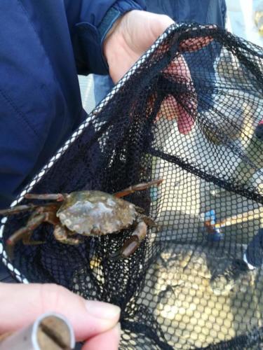 Boulogne_403_408c_15