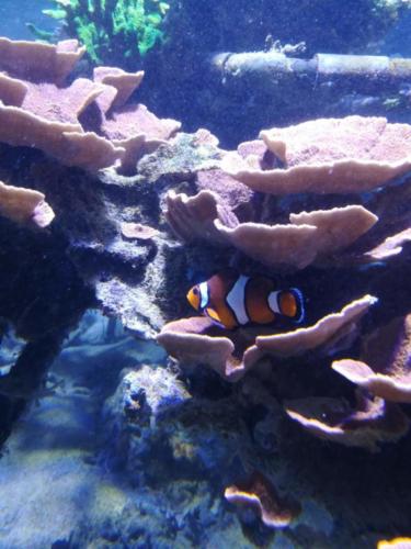 Boulogne_403_408c_24