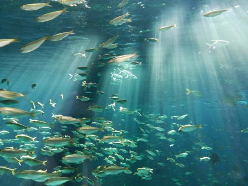 Boulogne_403_408c_26