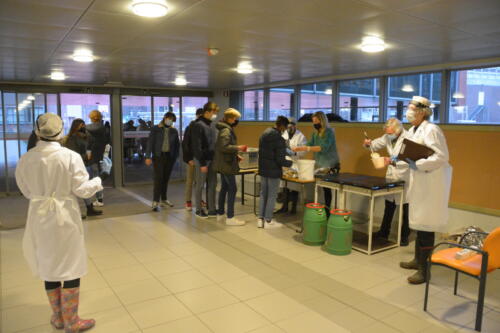 Nieuwjaarswandeling_32