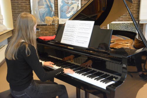 Nieuwjaarswandeling_52